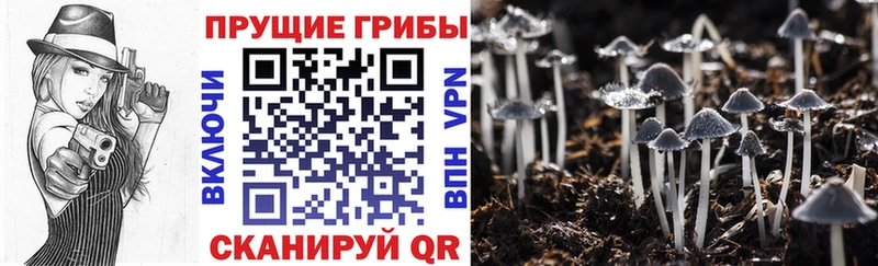 omg ONION  Топки  Галлюциногенные грибы ЛСД  где продают  
