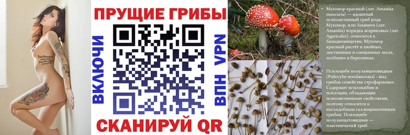 Псилоцибиновые грибы Magic Shrooms Топки