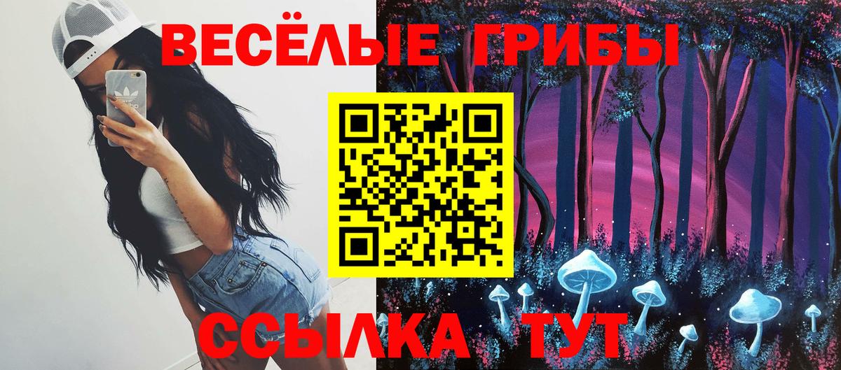 Псилоцибиновые грибы GOLDEN TEACHER  Псилоцибиновые грибы Magic Shrooms  Топки  Вход с VPN 